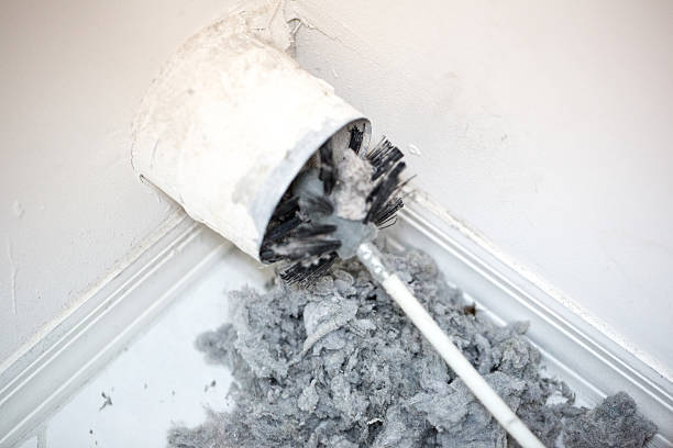 Best Home Air Vent Cleaning  in Lower Grand Lagoon, FL